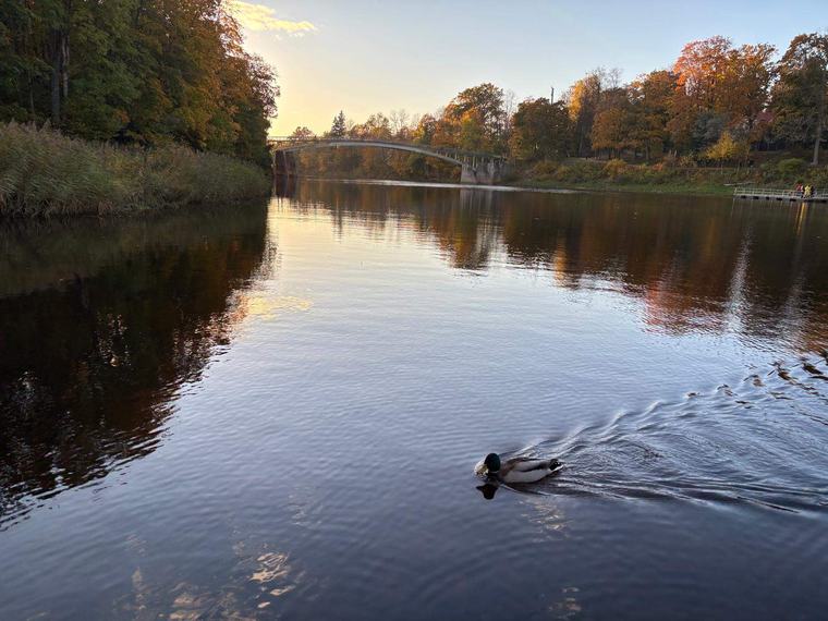 Rudens jau klāt? Sestdien Latvijā līs teju visur, gaiss iesils vien līdz +17 grādiem