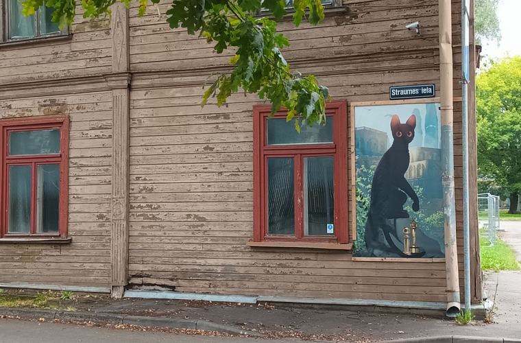 Ormaņu depo, "Ļošas" logs un kapu "pērles", jeb pastaiga pa Brasas apkaimi Rīgā