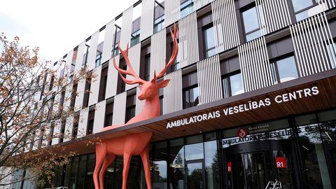 Carnikavā suņu uzbrukumā cietušo bērnu stāvoklis ir stabils