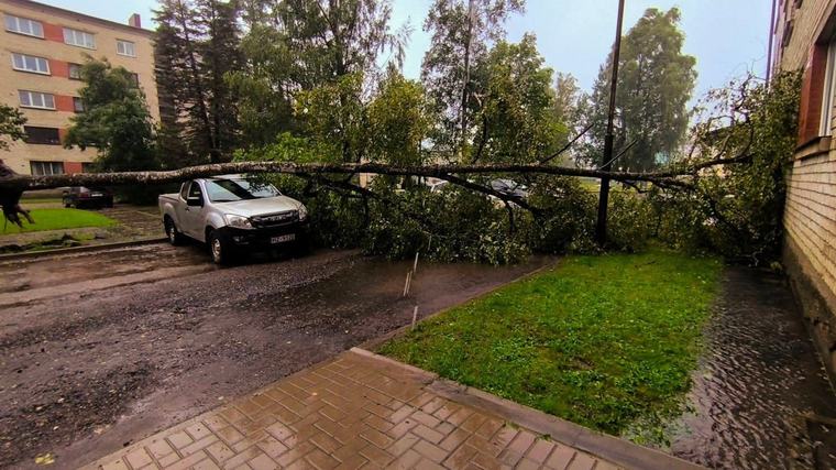 Apdrošinātāji pēc vētras saņēmuši 4800 atlīdzību pieteikumu; aicina neatlikt to iesniegšanu