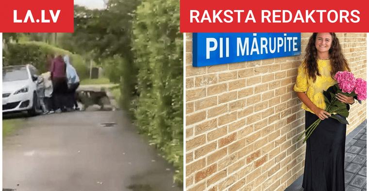 RAKSTA REDAKTORS “Mēs nevaram kā datorspēlē bruņoties ar piparu gāzēm un aizsargvestēm!” Bērnudārza pedagoģe Krista komentē Carnikavas suņu sāgas sekas
